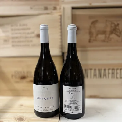 Sintonia Iripina Bianco DOC