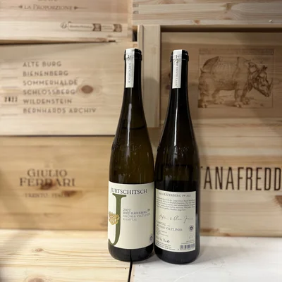 Gr&uuml;ner Veltliner Ried K&auml;ferberg DAC