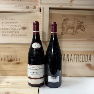 Cote de Nuits-Villages