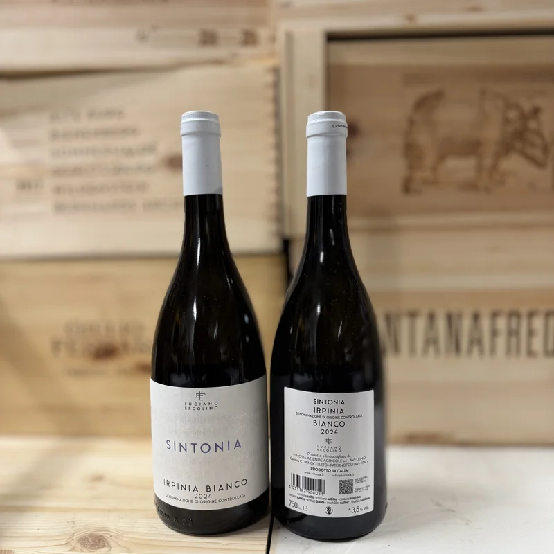Sintonia Iripina Bianco DOC